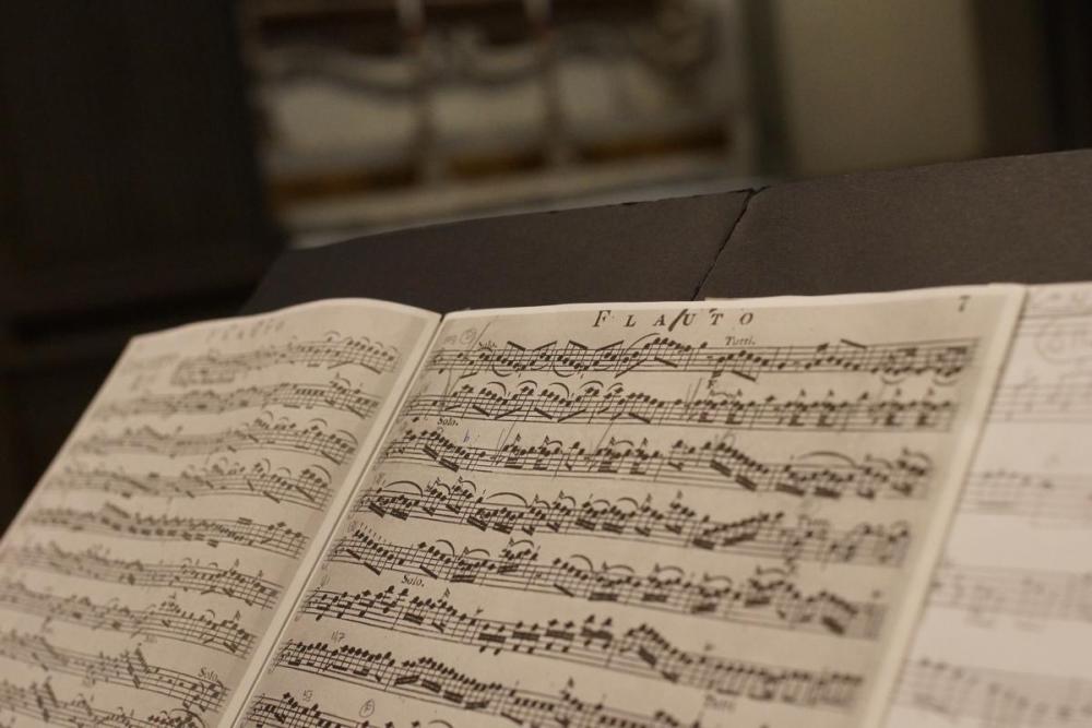 Giardini e Giordani: quartetti e concerti in stile galante